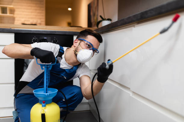 Best Affordable Pest Control Services  in Normal, IL