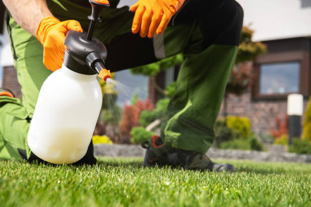 Insect Control in Normal, IL