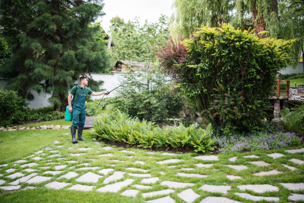 Pest Prevention Services in Normal, IL