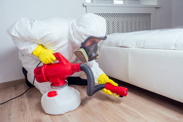 Best Mosquito Control Services  in Normal, IL