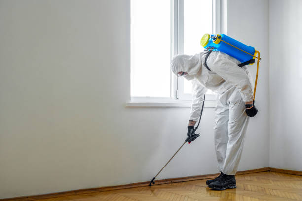 Best Pest Prevention Services  in Normal, IL