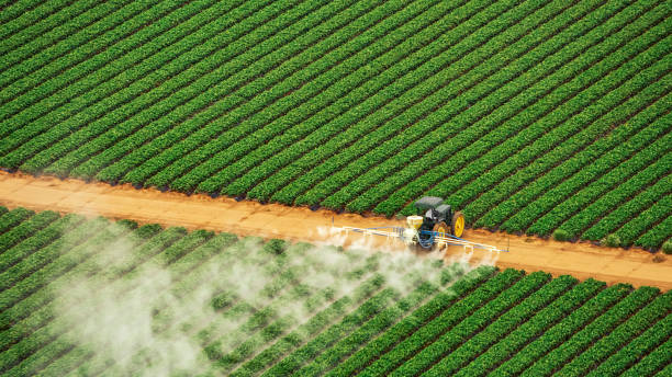 Best Pest Control Treatment  in Normal, IL
