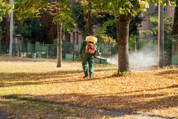 Best Pest Removal Services  in Normal, IL
