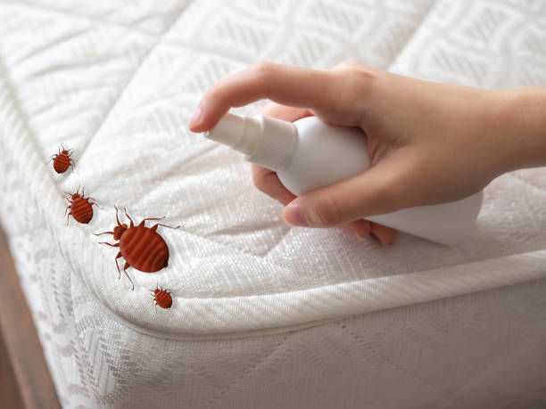 Best Best Pest Control Companies  in Normal, IL