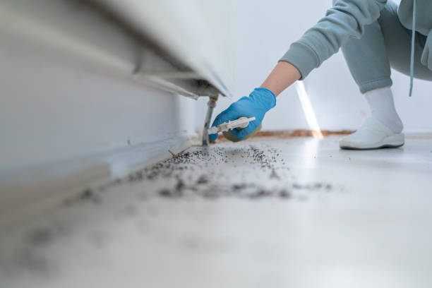 Best Exterminator Services  in Normal, IL